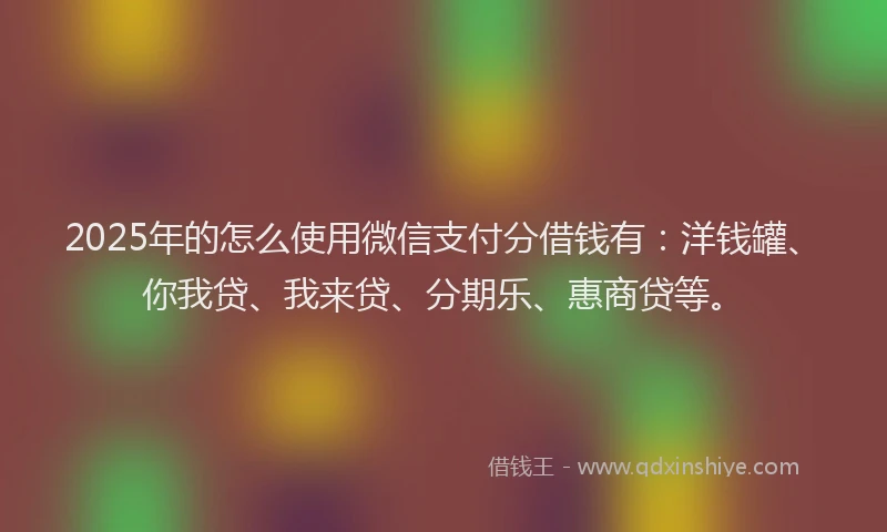 2025年的怎么使用微信支付分借钱有：洋钱罐、你我贷、我来贷、分期乐、惠商贷等。