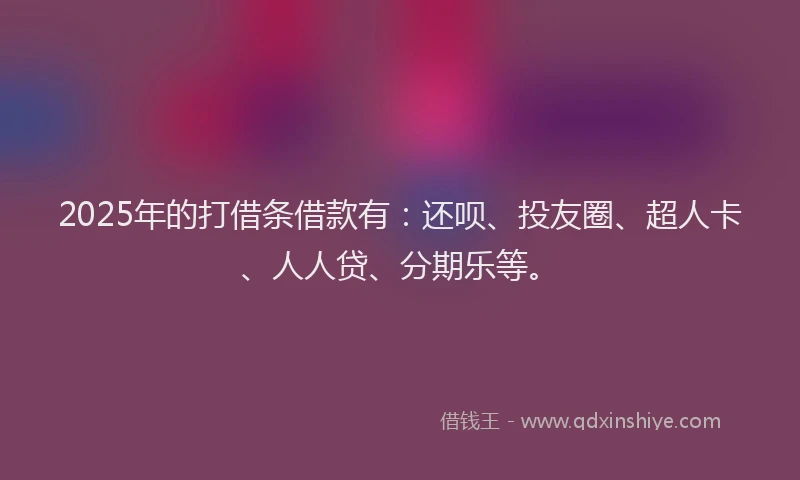 2025年的打借条借款有：还呗、投友圈、超人卡、人人贷、分期乐等。