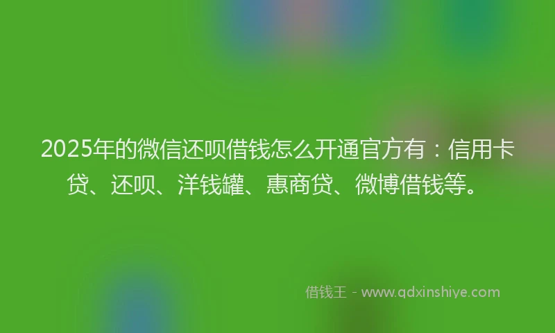 2025年的微信还呗借钱怎么开通官方有：信用卡贷、还呗、洋钱罐、惠商贷、微博借钱等。
