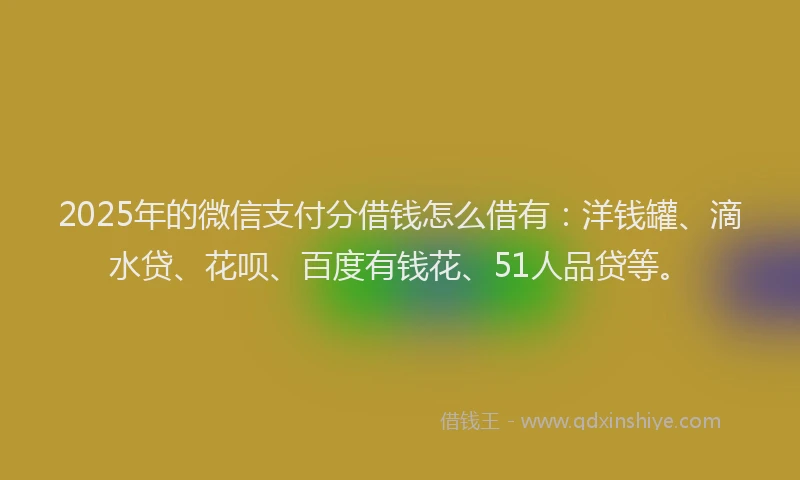 2025年的微信支付分借钱怎么借有：洋钱罐、滴水贷、花呗、百度有钱花、51人品贷等。