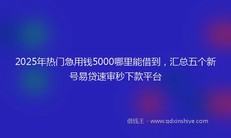 2025年热门急用钱5000哪里能借到，汇总五个新号易贷速审秒下款平台