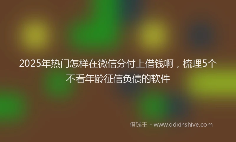 2025年热门怎样在微信分付上借钱啊，梳理5个不看年龄征信负债的软件