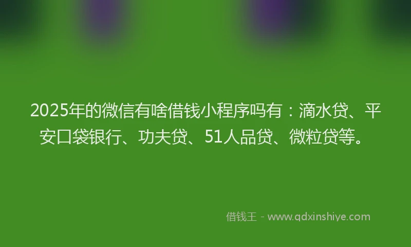 2025年的微信有啥借钱小程序吗有：滴水贷、平安口袋银行、功夫贷、51人品贷、微粒贷等。
