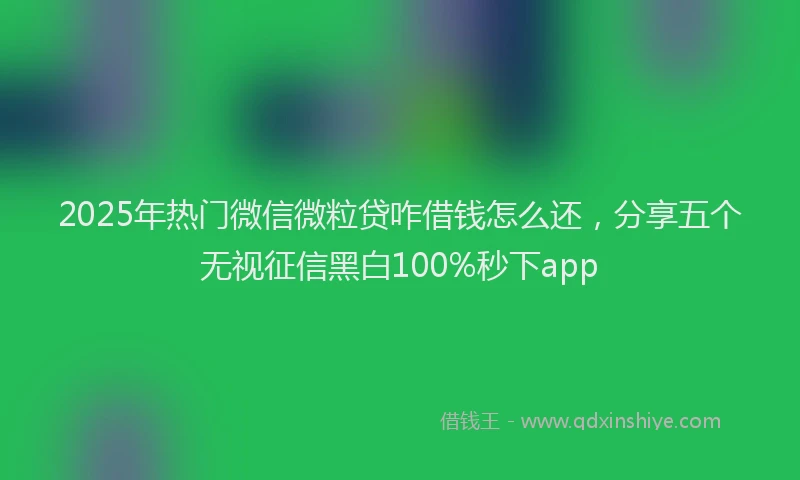 2025年热门微信微粒贷咋借钱怎么还，分享五个无视征信黑白100%秒下app