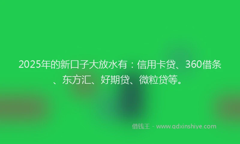 2025年的新口子大放水有：信用卡贷、360借条、东方汇、好期贷、微粒贷等。
