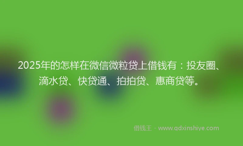 2025年的怎样在微信微粒贷上借钱有：投友圈、滴水贷、快贷通、拍拍贷、惠商贷等。