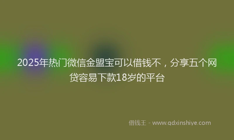 2025年热门微信金盟宝可以借钱不，分享五个网贷容易下款18岁的平台
