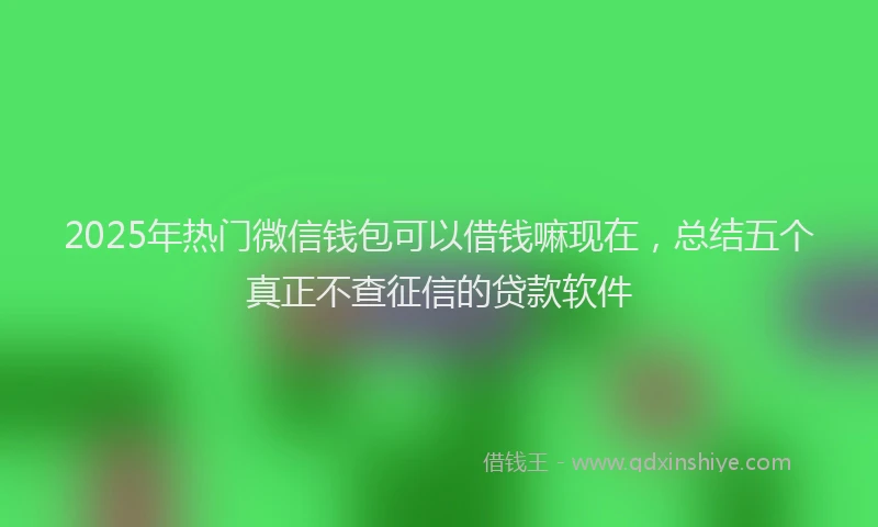 2025年热门微信钱包可以借钱嘛现在，总结五个真正不查征信的贷款软件