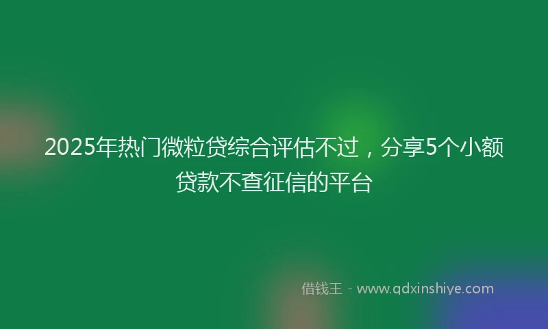 2025年热门微粒贷综合评估不过，分享5个小额贷款不查征信的平台