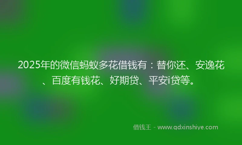 2025年的微信蚂蚁多花借钱有：替你还、安逸花、百度有钱花、好期贷、平安i贷等。