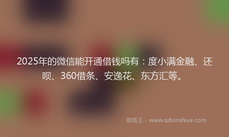 2025年的微信能开通借钱吗有：度小满金融、还呗、360借条、安逸花、东方汇等。