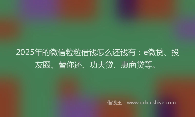 2025年的微信粒粒借钱怎么还钱有：e微贷、投友圈、替你还、功夫贷、惠商贷等。