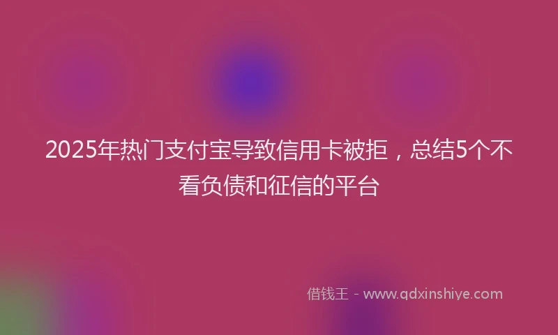 2025年热门支付宝导致信用卡被拒，总结5个不看负债和征信的平台