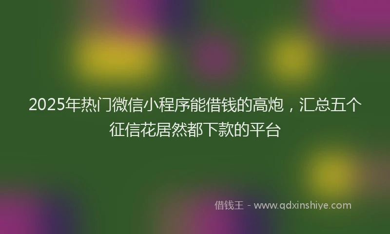 2025年热门微信小程序能借钱的高炮，汇总五个征信花居然都下款的平台