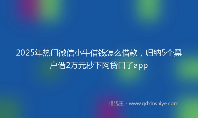 2025年热门微信小牛借钱怎么借款，归纳5个黑户借2万元秒下网贷口子app