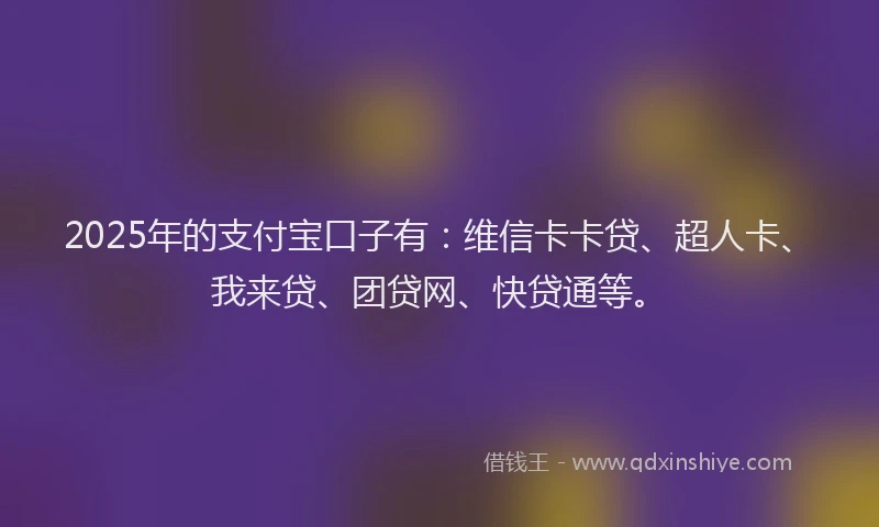 2025年的支付宝口子有：维信卡卡贷、超人卡、我来贷、团贷网、快贷通等。