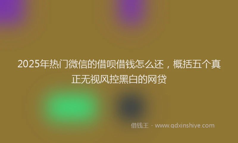 2025年热门微信的借呗借钱怎么还，概括五个真正无视风控黑白的网贷