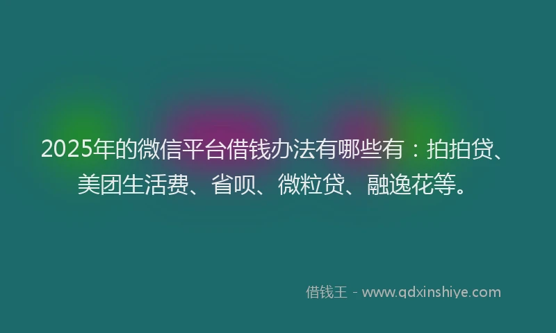 2025年的微信平台借钱办法有哪些有：拍拍贷、美团生活费、省呗、微粒贷、融逸花等。