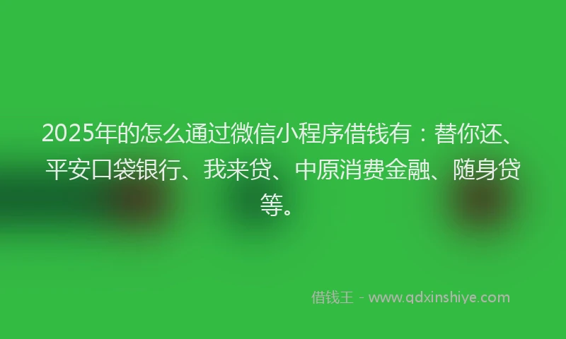 2025年的怎么通过微信小程序借钱有：替你还、平安口袋银行、我来贷、中原消费金融、随身贷等。