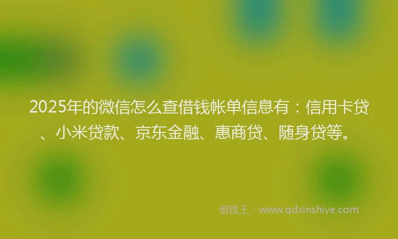 2025年的微信怎么查借钱帐单信息有：信用卡贷、小米贷款、京东金融、惠商贷、随身贷等。