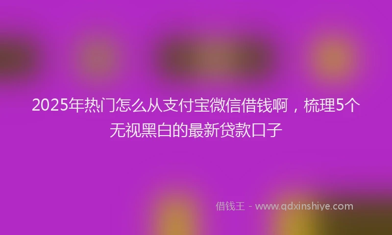 2025年热门怎么从支付宝微信借钱啊，梳理5个无视黑白的最新贷款口子