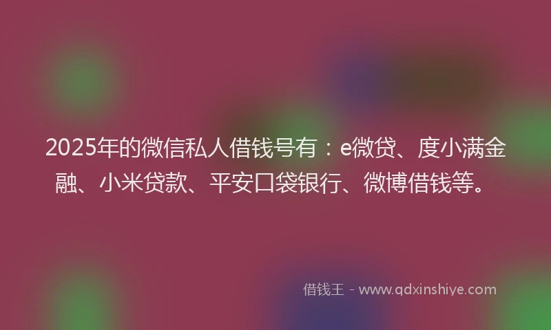 2025年的微信私人借钱号有：e微贷、度小满金融、小米贷款、平安口袋银行、微博借钱等。