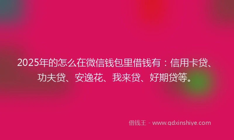 2025年的怎么在微信钱包里借钱有：信用卡贷、功夫贷、安逸花、我来贷、好期贷等。