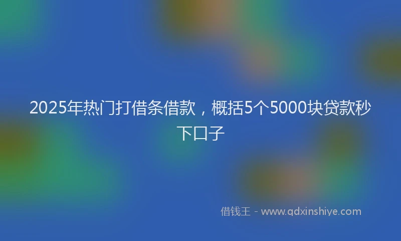 2025年热门打借条借款，概括5个5000块贷款秒下口子