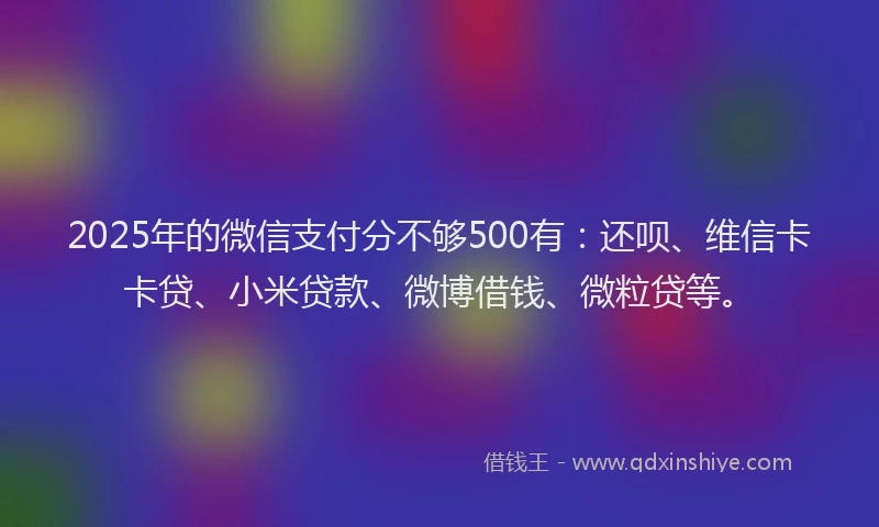 2025年的微信支付分不够500有：还呗、维信卡卡贷、小米贷款、微博借钱、微粒贷等。