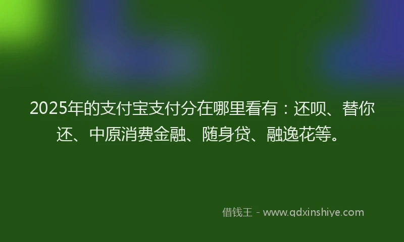 2025年的支付宝支付分在哪里看有：还呗、替你还、中原消费金融、随身贷、融逸花等。
