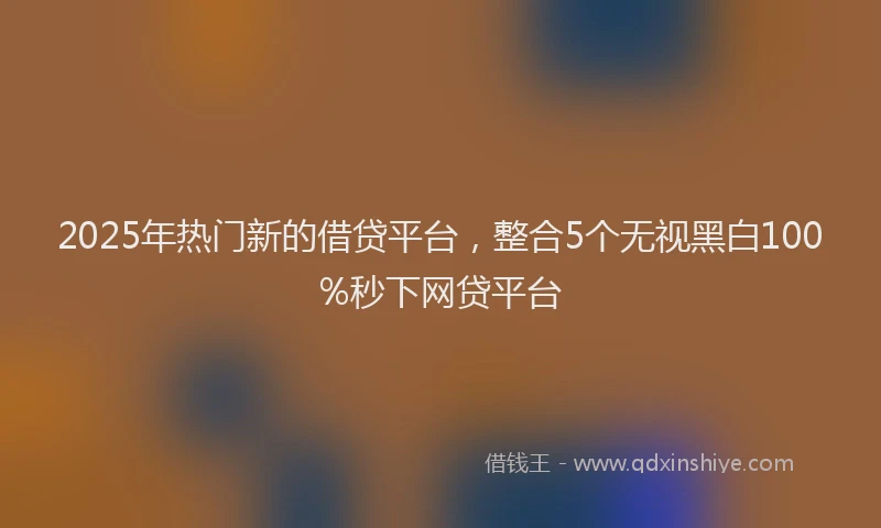 2025年热门新的借贷平台，整合5个无视黑白100%秒下网贷平台