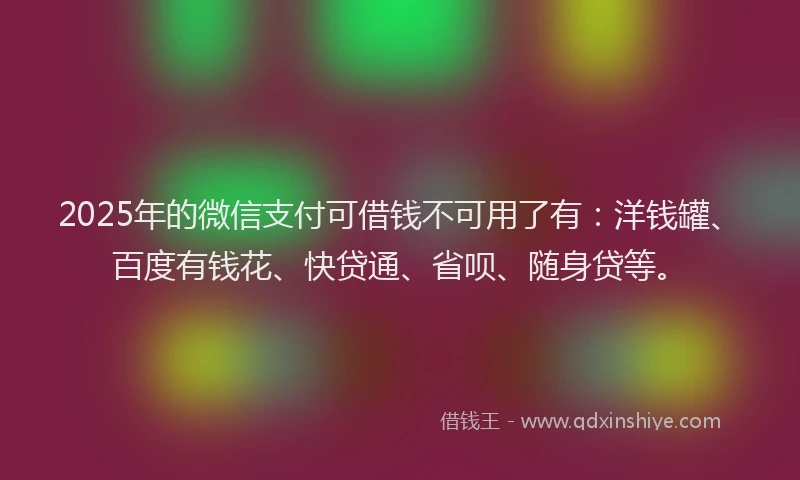 2025年的微信支付可借钱不可用了有：洋钱罐、百度有钱花、快贷通、省呗、随身贷等。