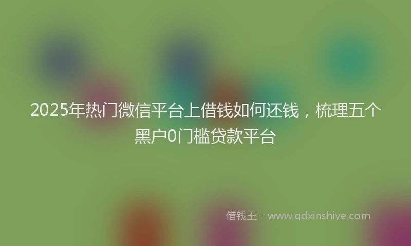 2025年热门微信平台上借钱如何还钱，梳理五个黑户0门槛贷款平台