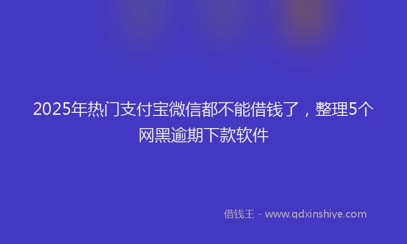 2025年热门支付宝微信都不能借钱了，整理5个网黑逾期下款软件