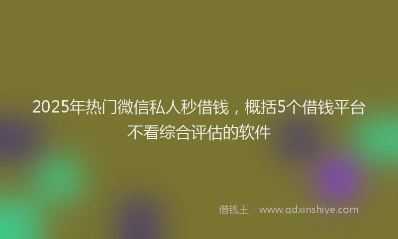 2025年热门微信私人秒借钱，概括5个借钱平台不看综合评估的软件