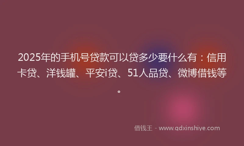 2025年的手机号贷款可以贷多少要什么有：信用卡贷、洋钱罐、平安i贷、51人品贷、微博借钱等。