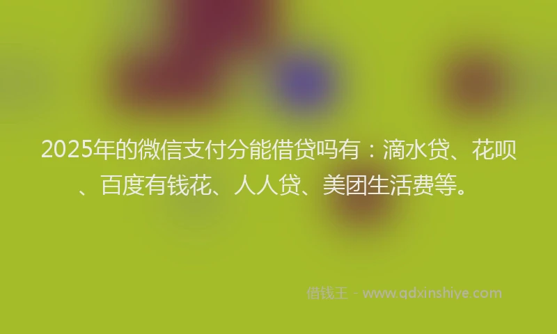 2025年的微信支付分能借贷吗有：滴水贷、花呗、百度有钱花、人人贷、美团生活费等。