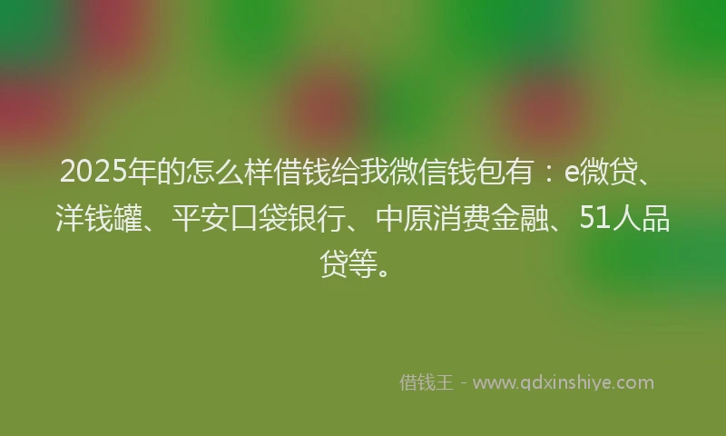 2025年的怎么样借钱给我微信钱包有：e微贷、洋钱罐、平安口袋银行、中原消费金融、51人品贷等。
