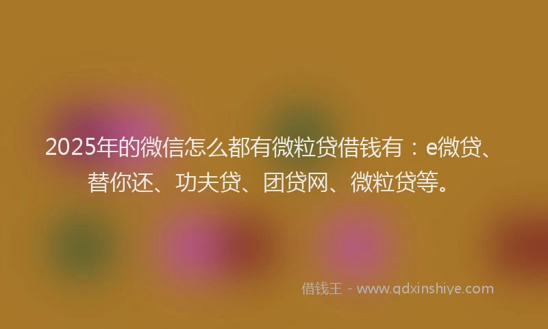 2025年的微信怎么都有微粒贷借钱有：e微贷、替你还、功夫贷、团贷网、微粒贷等。
