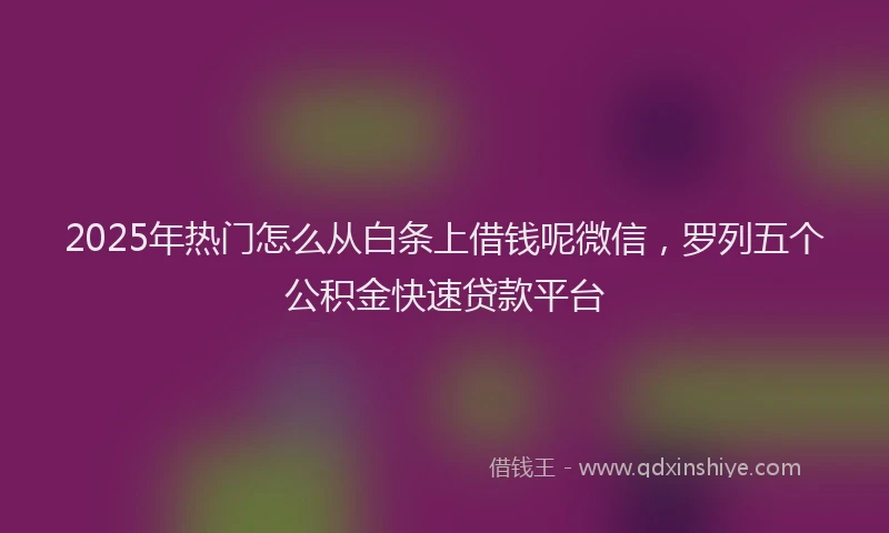 2025年热门怎么从白条上借钱呢微信，罗列五个公积金快速贷款平台