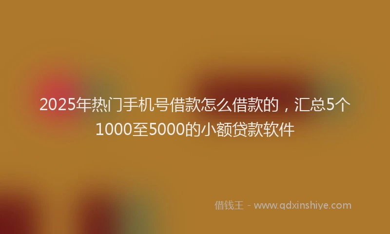 2025年热门手机号借款怎么借款的，汇总5个1000至5000的小额贷款软件