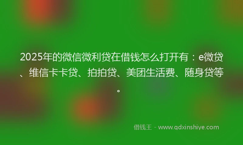2025年的微信微利贷在借钱怎么打开有：e微贷、维信卡卡贷、拍拍贷、美团生活费、随身贷等。