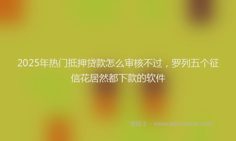2025年热门抵押贷款怎么审核不过，罗列五个征信花居然都下款的软件