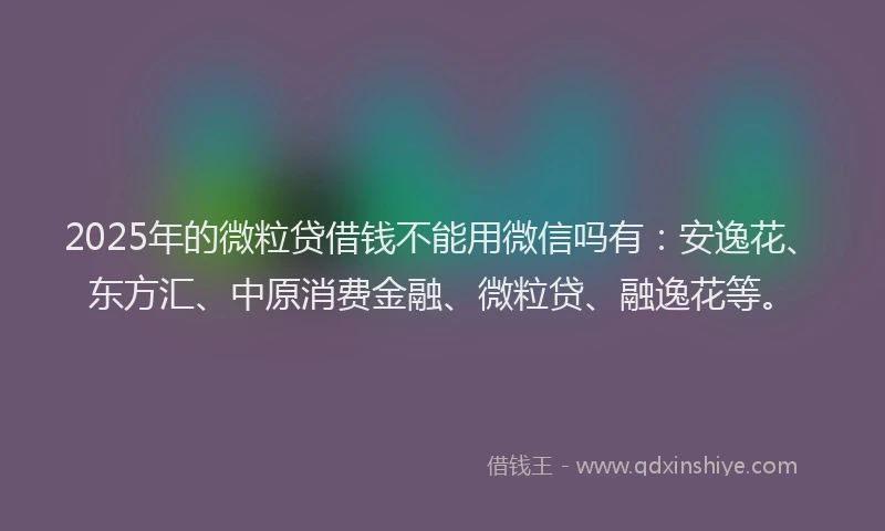 2025年的微粒贷借钱不能用微信吗有：安逸花、东方汇、中原消费金融、微粒贷、融逸花等。