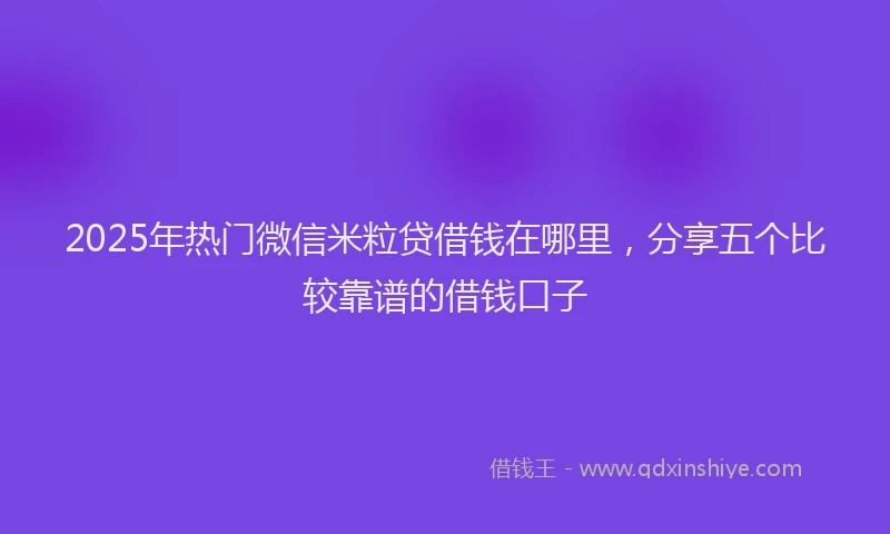 2025年热门微信米粒贷借钱在哪里，分享五个比较靠谱的借钱口子