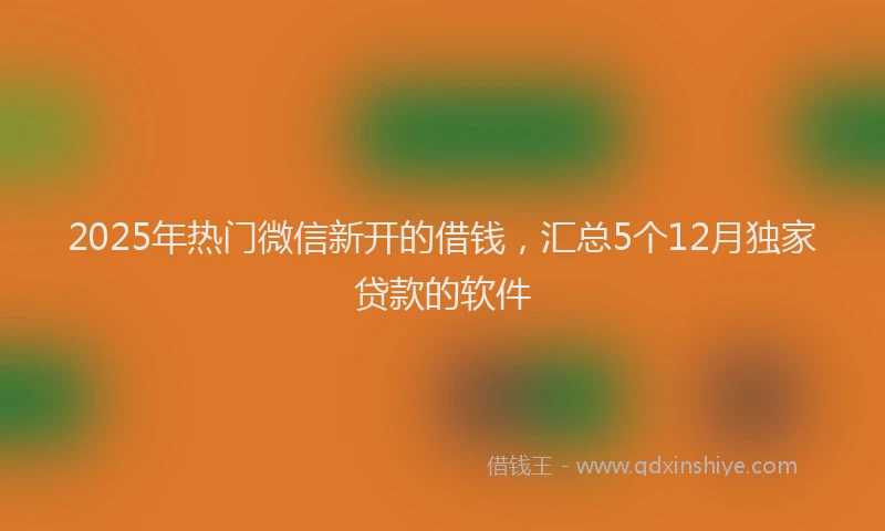 2025年热门微信新开的借钱，汇总5个12月独家贷款的软件