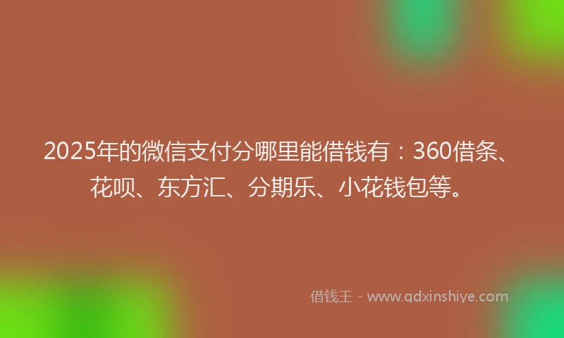 2025年的微信支付分哪里能借钱有：360借条、花呗、东方汇、分期乐、小花钱包等。