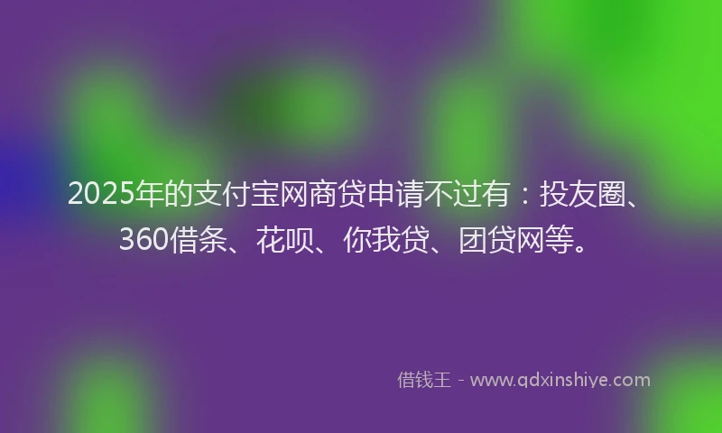 2025年的支付宝网商贷申请不过有：投友圈、360借条、花呗、你我贷、团贷网等。