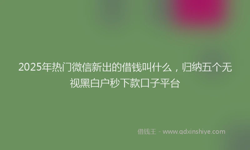 2025年热门微信新出的借钱叫什么，归纳五个无视黑白户秒下款口子平台