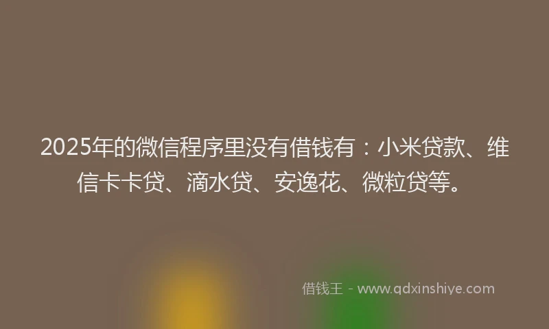 2025年的微信程序里没有借钱有：小米贷款、维信卡卡贷、滴水贷、安逸花、微粒贷等。